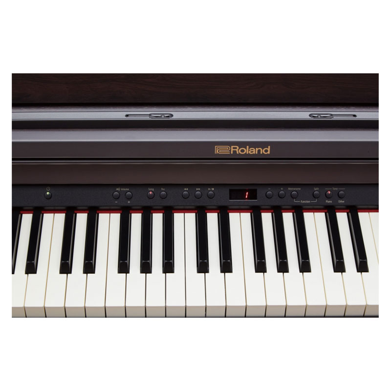 Roland rp302 2024